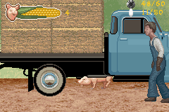 Charlotte's Web